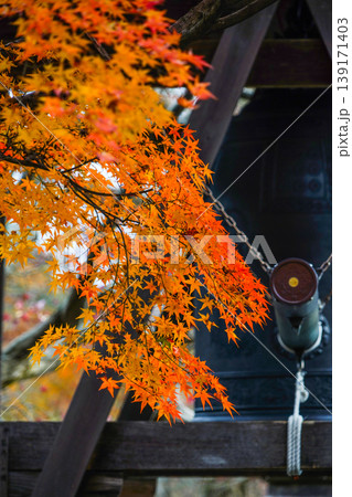 化野念仏寺　鐘つき堂と紅葉 139171403