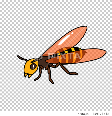 Wasp illustration Wasp illustration 139171418