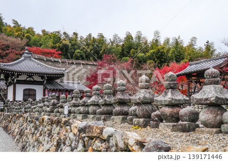 晩秋の化野念仏寺境内 139171446