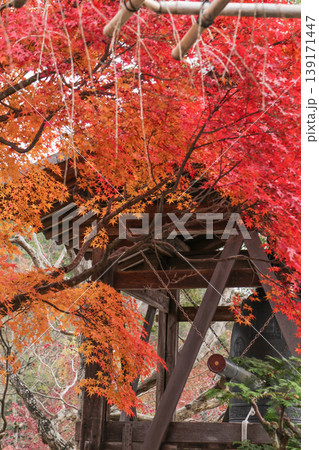 化野念仏寺　鐘つき堂と紅葉 139171447