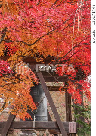 化野念仏寺　鐘つき堂と紅葉 139171448