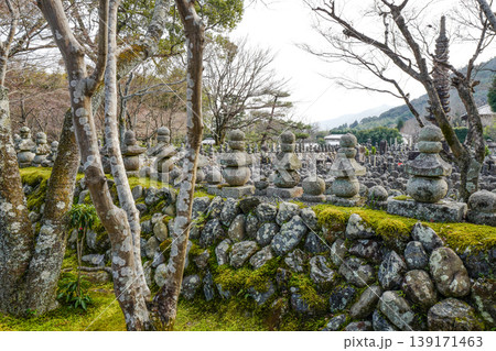 冬の化野念仏寺 139171463