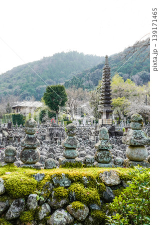 冬の化野念仏寺 冬の化野念仏寺 139171465