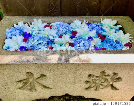 7月の花手水(百合・紫陽花・ダリア)〈菅生神社/愛知県岡崎市〉 7月の花手水(百合・紫陽花・ダリア)〈菅生神社/愛知県岡崎市〉 139171586