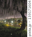 曼陀羅寺公園（江南藤まつり）4 139171604