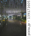 曼陀羅寺公園（江南藤まつり）3 139171605
