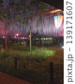曼陀羅寺公園（江南藤まつり）1 139171607