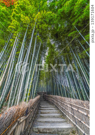 化野念仏寺 竹林の小径 化野念仏寺 竹林の小径 139171684