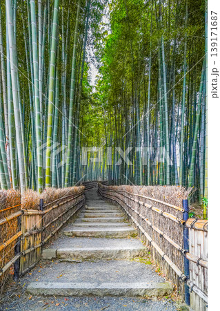 化野念仏寺 竹林の小径 化野念仏寺 竹林の小径 139171687