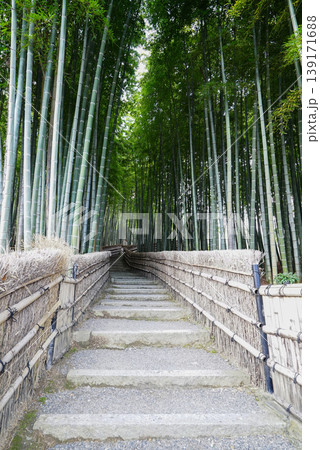 化野念仏寺 竹林の小径 化野念仏寺 竹林の小径 139171688