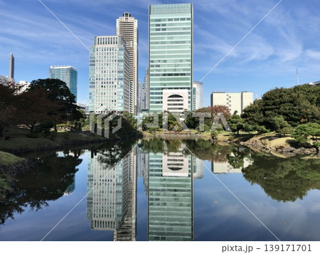 庭園から見た汐留のビル群 庭園から見た汐留のビル群 139171701