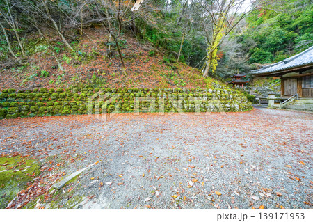 京都　愛宕念仏寺（おたぎねんぶつじ） 139171953