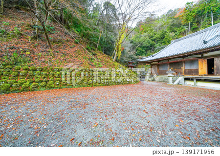 京都　愛宕念仏寺（おたぎねんぶつじ） 139171956