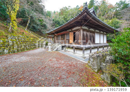 京都 愛宕念仏寺(おたぎねんぶつじ) 京都 愛宕念仏寺(おたぎねんぶつじ) 139171959