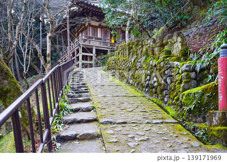 京都　愛宕念仏寺（おたぎねんぶつじ） 139171969
