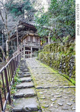 京都　愛宕念仏寺（おたぎねんぶつじ） 139171970