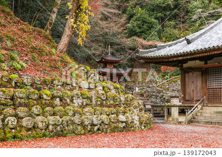 京都 愛宕念仏寺(おたぎねんぶつじ) 京都 愛宕念仏寺(おたぎねんぶつじ) 139172043