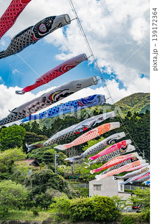 広島・安佐北区・白木山橋鯉のぼり 139172364