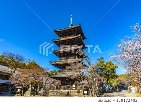 【重文】興正寺五重塔 愛知県名古屋市 【重文】興正寺五重塔 愛知県名古屋市 139172402