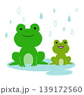 雨の中、雨に濡れているカエル 139172560