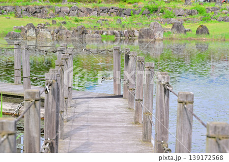 新緑の水辺　八色の森公園　　　 139172568