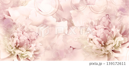 Peony flower. Floral background. Closeup. For design. Nature. Peony flower. Floral background. Closeup. For design. Nature. 139172611