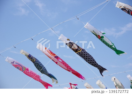 青空を泳ぐ鯉のぼり 青空を泳ぐ鯉のぼり 139172772