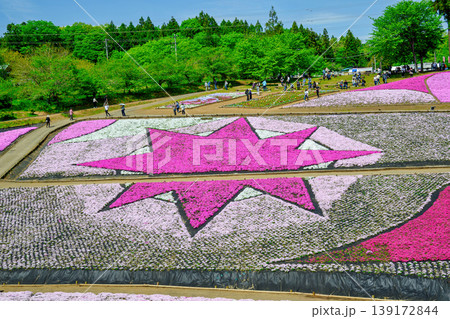 秩父市　武甲山の麓　羊山公園　春の芝桜の丘　 139172844