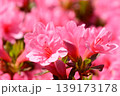山田池公園 139173178