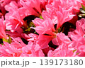 山田池公園 139173180