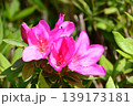 山田池公園 139173181