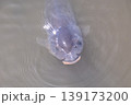 山田池公園 139173200