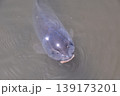 山田池公園 139173201
