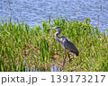 山田池公園 139173217