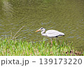 山田池公園 139173220