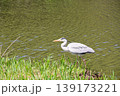山田池公園 139173221