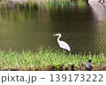 山田池公園 139173222