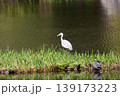 山田池公園 139173223