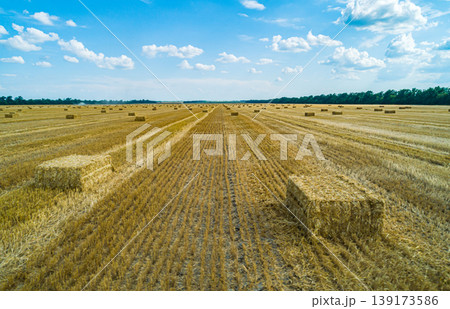Expansive golden fields with hay bales under a bright blue sky during harvest season in rural landscape Expansive golden fields with hay bales under a bright blue sky during harvest season in rural landscape 139173586