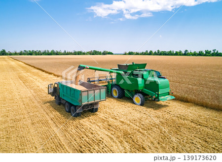 Summer wheat harvest in progress as a combine unloads golden grain into a waiting farm truck Summer wheat harvest in progress as a combine unloads golden grain into a waiting farm truck 139173620