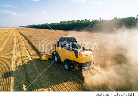 Combine harvester working in a golden wheat field under a clear summer sky during. Dust rises behind the machine while working 139173621