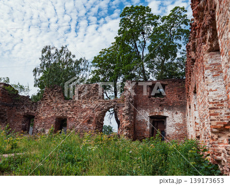 Weathered brick walls of an old building stand as ruins, surrounded by vibrant green foliage under a cloudy blue sky Weathered brick walls of an old building stand as ruins, surrounded by vibrant green foliage under a cloudy blue sky 139173653