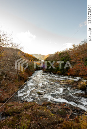 奥日光の紅葉「龍頭の滝」 奥日光の紅葉「龍頭の滝」 139173804