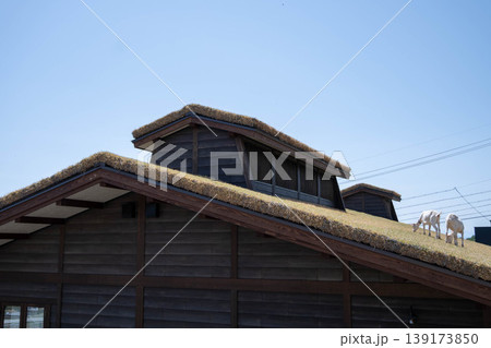 青空を背景にした芝屋根のユニークな木造建築と二頭のヤギ 青空を背景にした芝屋根のユニークな木造建築と二頭のヤギ 139173850