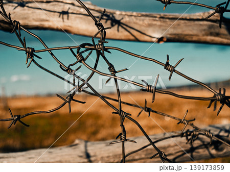 Barbed wire on wooden fence against blue sky and open field in rural area during daytime Barbed wire on wooden fence against blue sky and open field in rural area during daytime 139173859