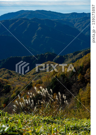 奥日光の紅葉「半月山」 奥日光の紅葉「半月山」 139173897