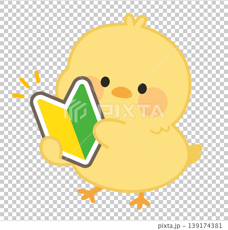 初心者マークを持つひよこのキャラクターイラスト(かわいい・シンプル) 初心者マークを持つひよこのキャラクターイラスト(かわいい・シンプル) 139174381