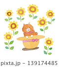 ひまわりと麦わら帽子に入った子犬のイラスト 139174485