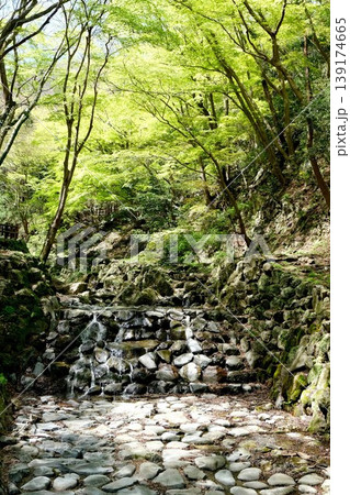 岐阜県養老郡養老町_養老の滝への道周辺の風景18_2025年4月 139174665