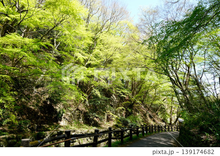 岐阜県養老郡養老町_養老の滝への道周辺の風景16_2025年4月 岐阜県養老郡養老町_養老の滝への道周辺の風景16_2025年4月 139174682
